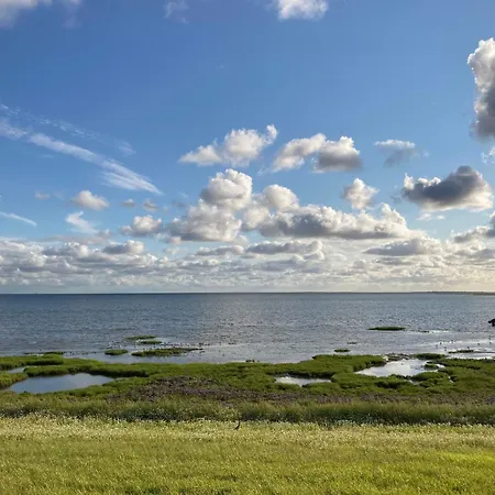 Gertrude 105 - Wattenmeer * Juist