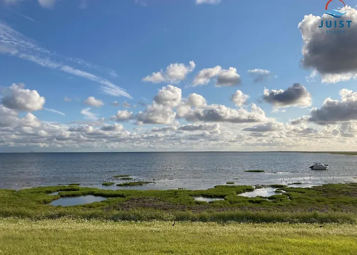 Gertrude 105 - Wattenmeer * Juist